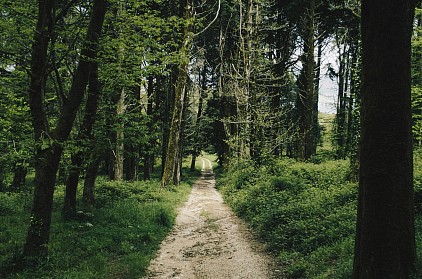 Start your journey with God
